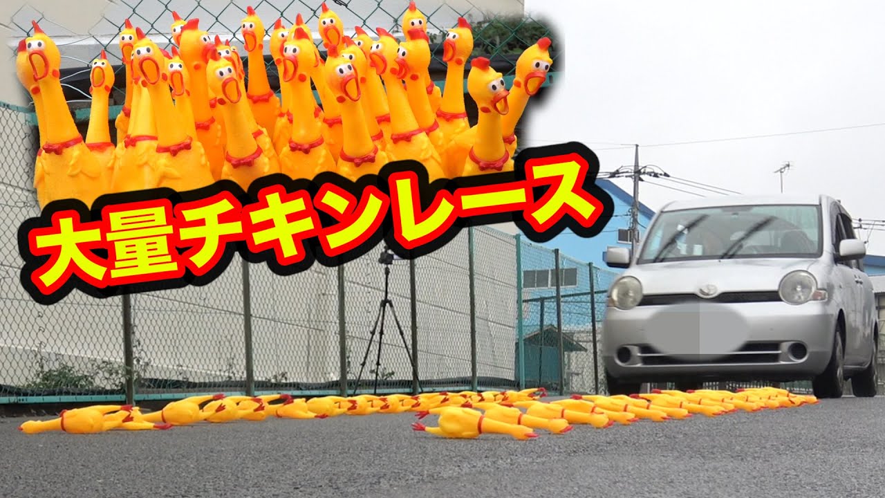 大量のびっくりチキンを車でひいたらクソうるさいはず！！