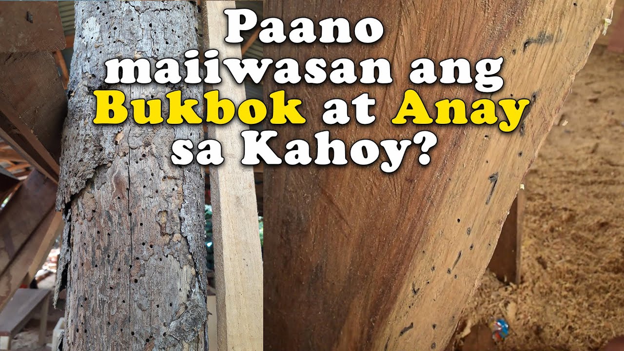 CHEAPEST WAY TO PREVENT TERMITES and WOOD BORING BEETLES ON WOOD