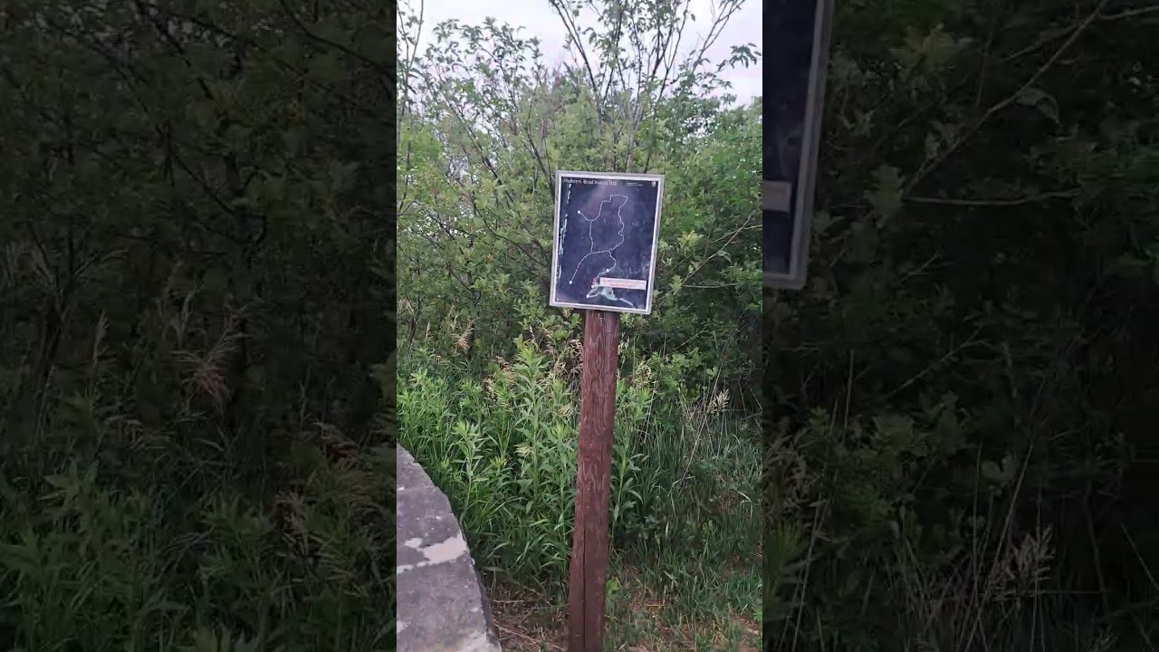 Mulberry Bend Overlook, Nebraska
