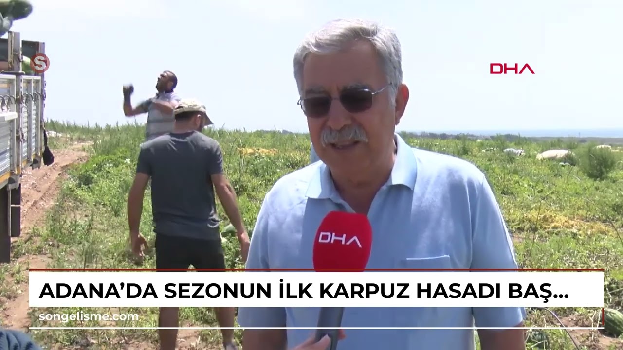 Adana’da sezonun ilk karpuz hasadı başladı; tarlada kilosu 7 TL