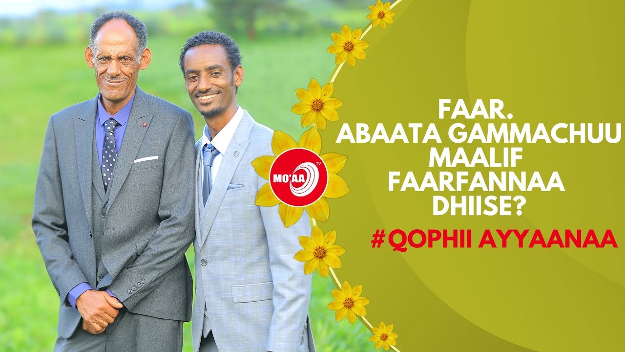 FAAR.  ABAATA GAMMACHUU MAALIF  FAARFANNAA  DHIISE? | QOPHII AYYANAA | MO'AA TV