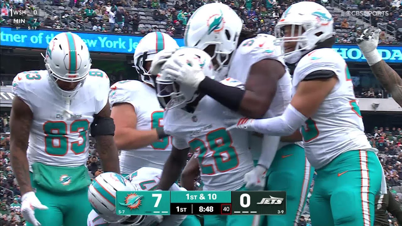 Dolphins' top plays vs. Jets | Week 14