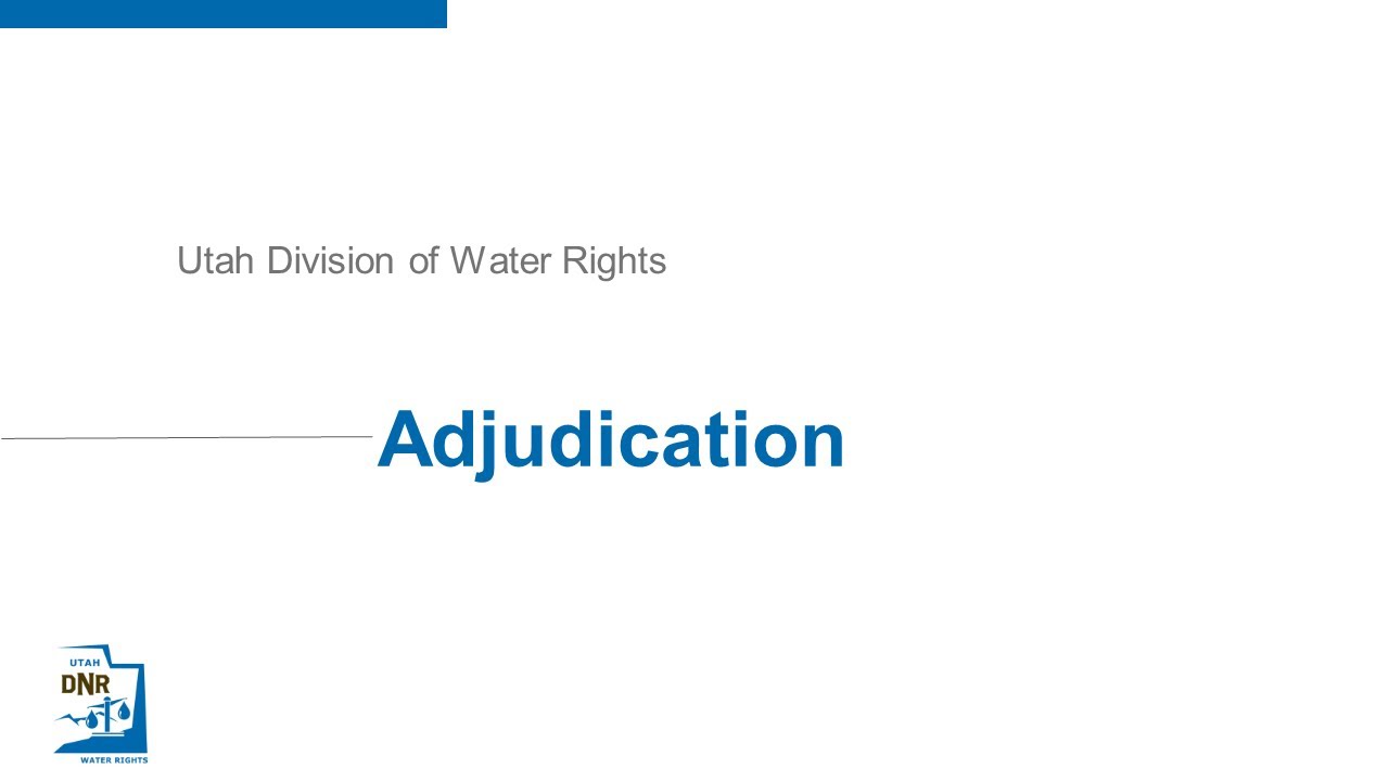 Overview of Adjudication