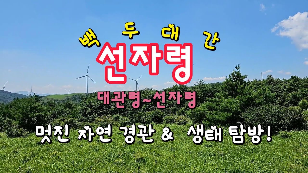 선녀와 아들이 놀다 간 백두대간 선자령 (대관령~선자령, 목장코스) 힐링 트레킹, 아름다운 자연경관과 생태탐방