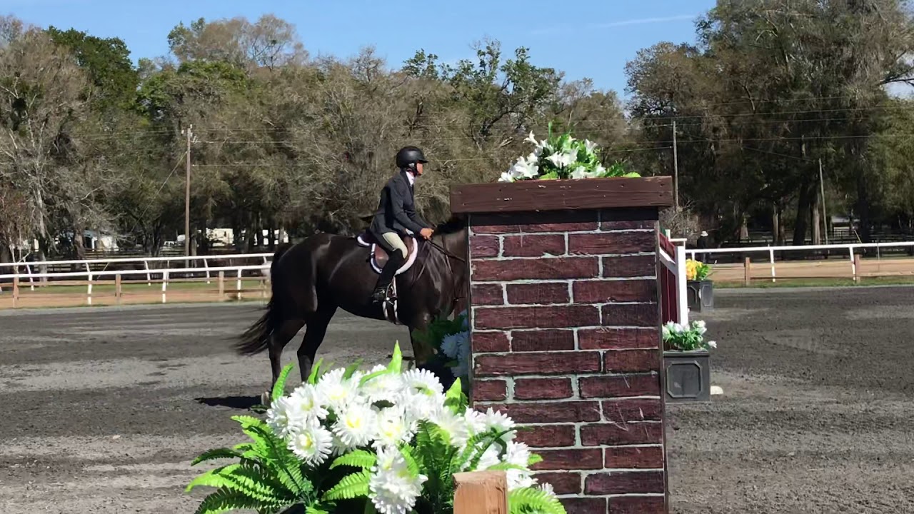Viper WINNING Hunter Class HITS 2 29 2020