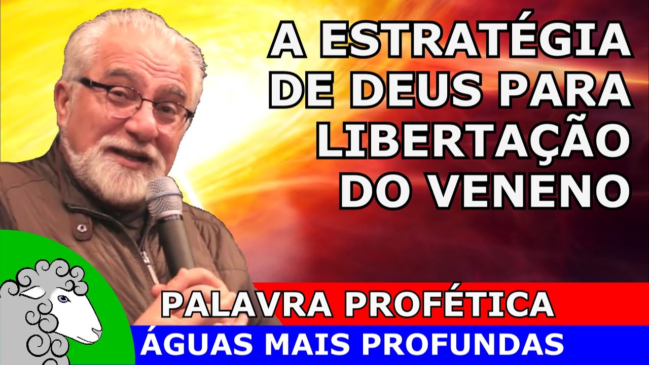 AS SERPENTES VENENOSAS E A SERPENTE DE BRONZE NO DESERTO ESPIRITUAL -  Nivaldo Nassiff