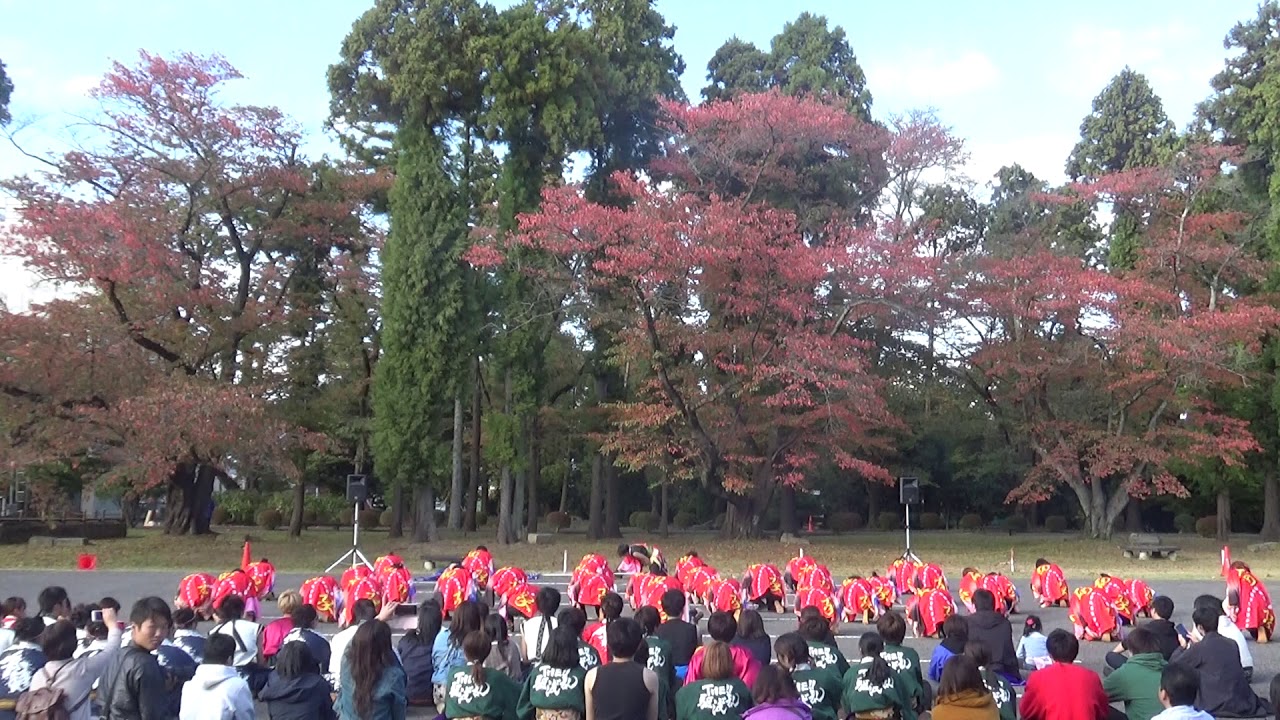 北桜祭2018 桜家一門YOSAKORI隊『進火』 2018.10.28