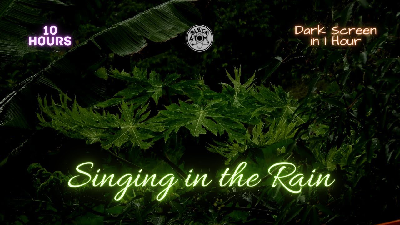Tree Frog and Heavy Rain ⨀ Singing in the Rain ⨀ 11 Hours ⨀ Dark Screen in 1 Hour ⨀ Rain Ambiance