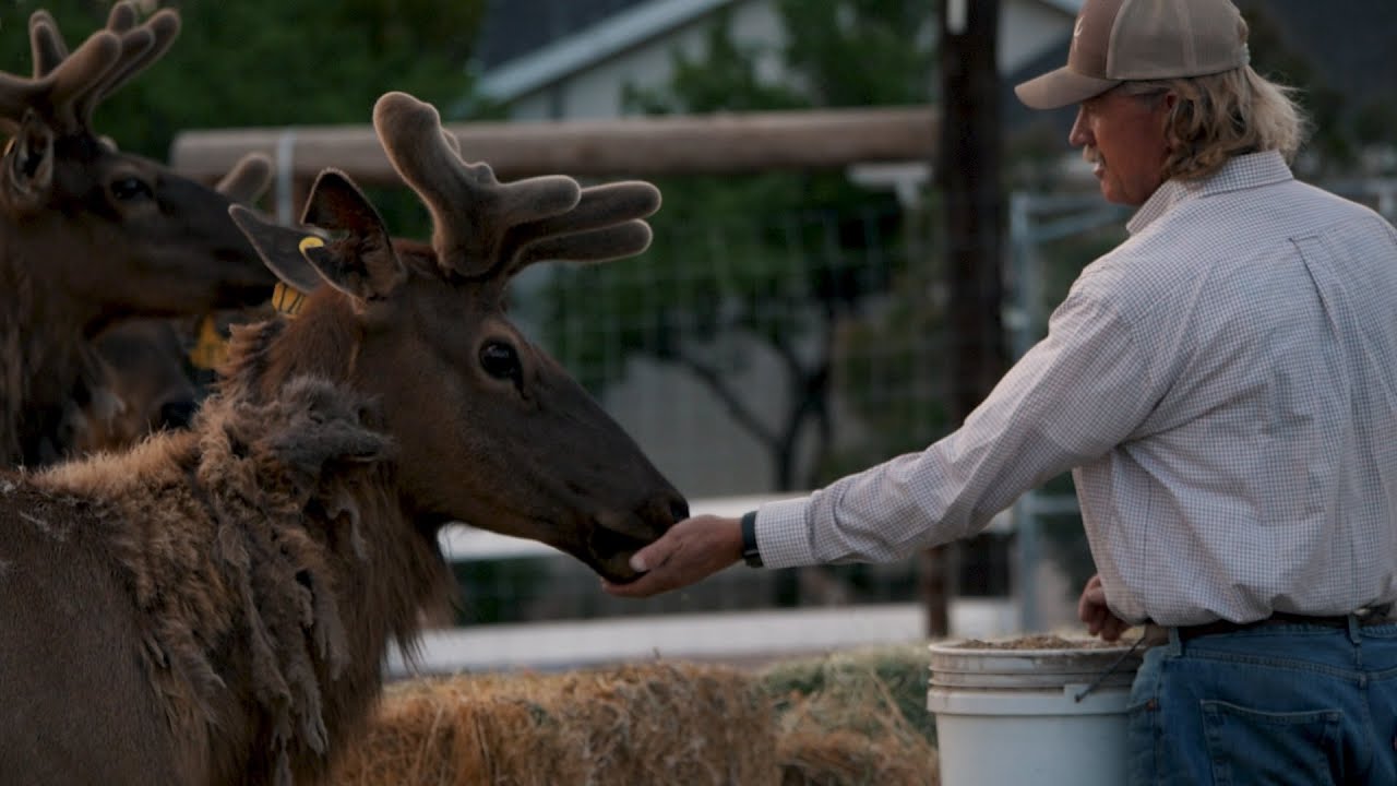 Parsons Elk Ranch