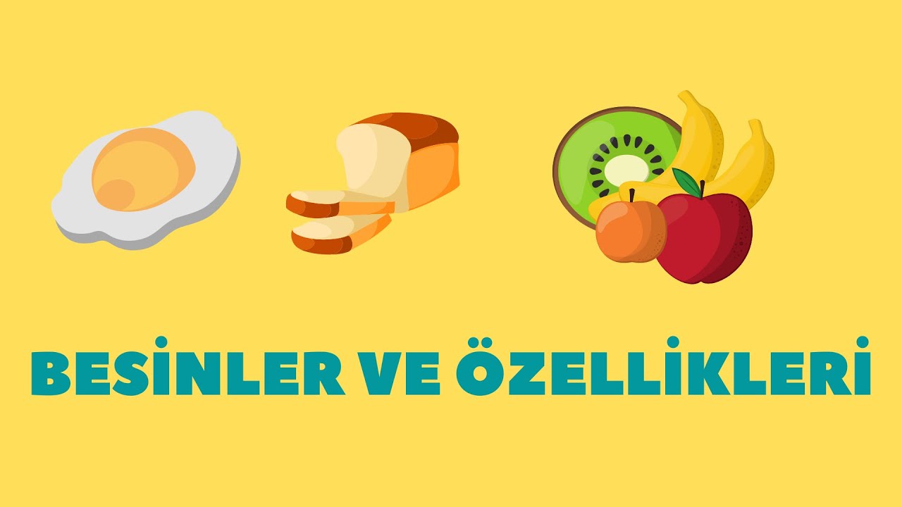 4. Sınıf Besinler ve &Ouml;zellikleri: Proteinler, Vitaminler, Karbonhidratlar