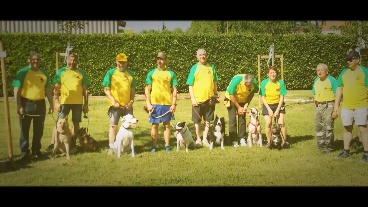 Sportivando 2017 Albignasego (PD)