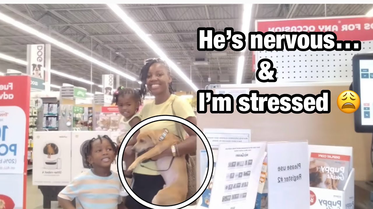 Single Mom Of 2 Living In Rv - adopting a pet may have been a &ldquo;BAD idea&rdquo; 