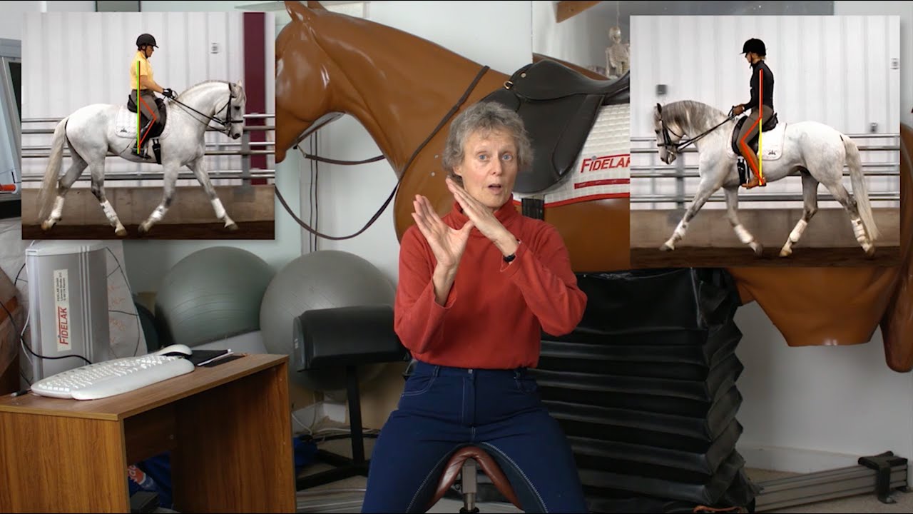 What everyone ought to know about getting your horse on the bit