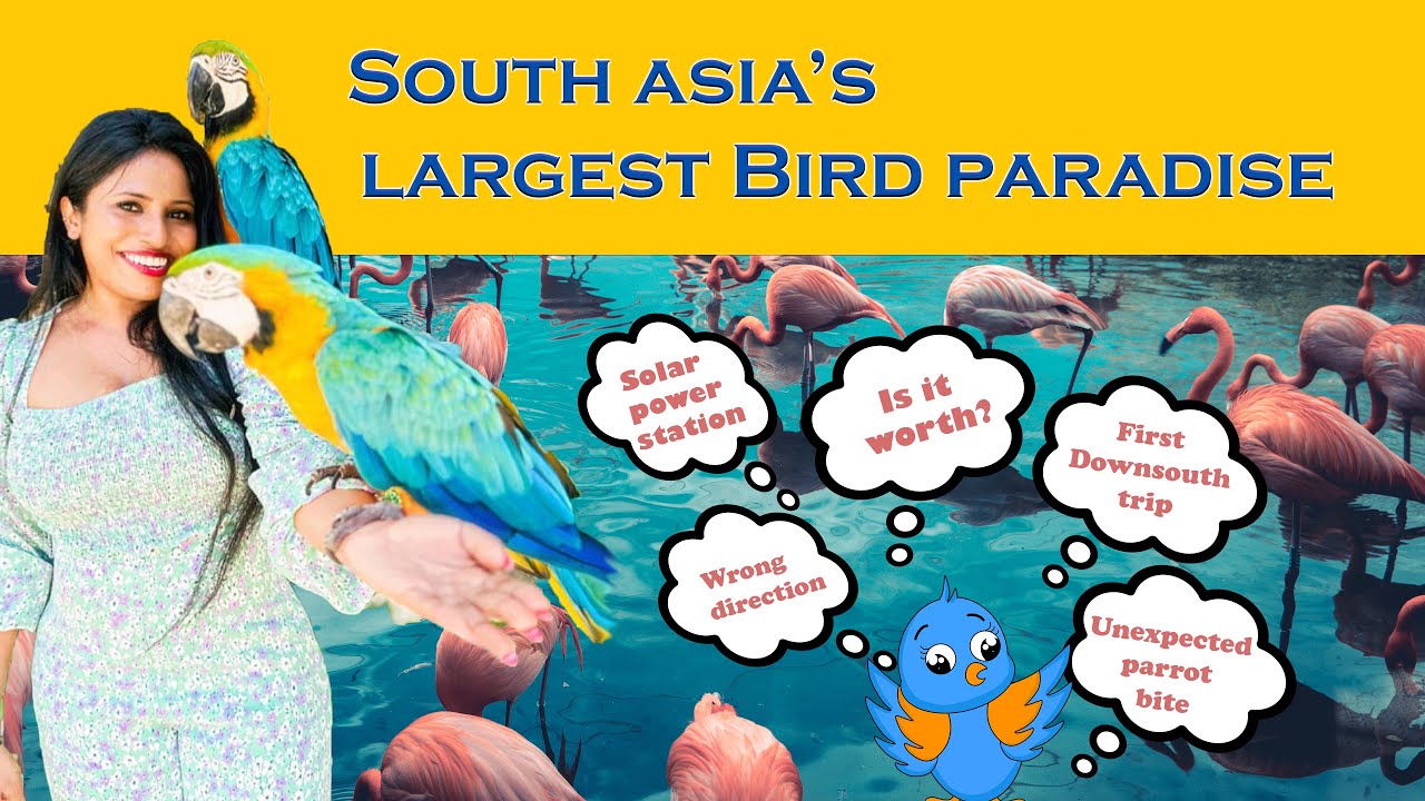 Hambantota birds park | Asia's Largest Bird Paradise | Solar Power Station | Travel Vlog 03| Epi 03