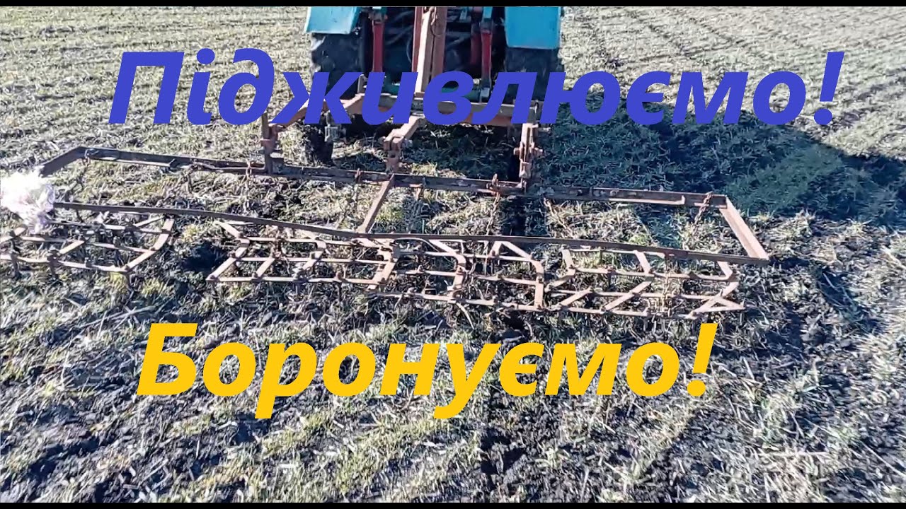Вносимо карбамід та боронує озиму пшеницю!
