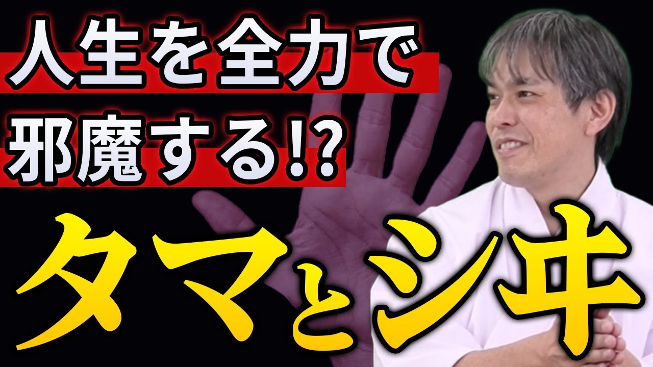99%の人が知らない【人間の初期設定】感情的になるほど大喜びされます　秦氏 サムライ 土御門兼嗣 華ノ宮維真 日本 古神道 司祭 タマとシヰ