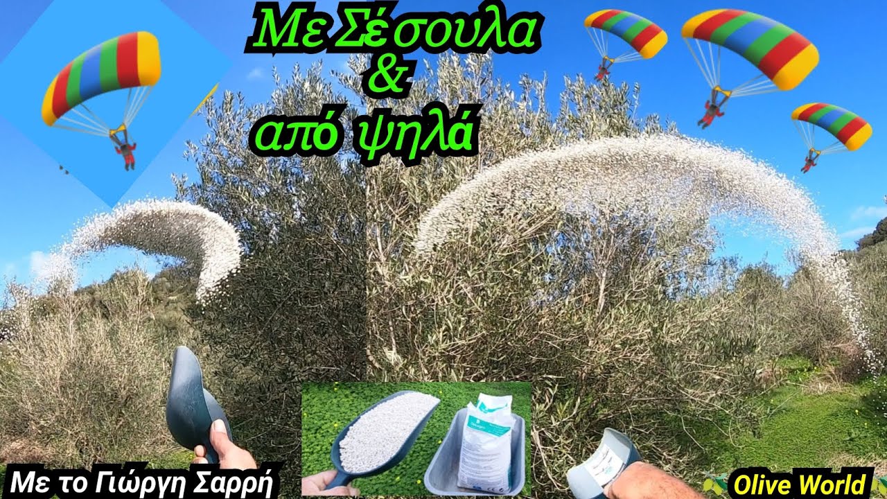 Πώς Ρίχνω Το Λίπασμα❓❓ Βασική Λίπανση - Εφαρμογή - Ρίψη #κλαδεμαελιασ 
