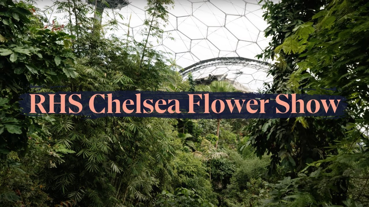 The Fauna & Flora Garden at RHS Chelsea Flower Show 2023