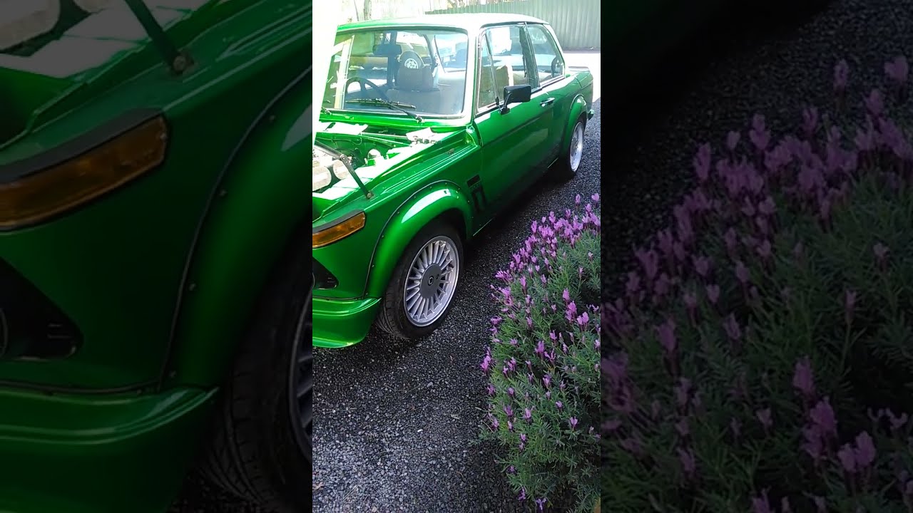 hulk 2002 quick review #bmw2002 #bmw
