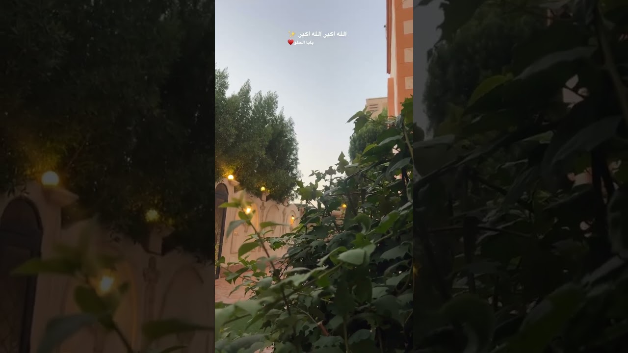 #بابا الله يطول بعمرك بالصحة والعافية ويخليك لنا ياااارب ويجعلنا من أهل الجنة ونعيمها 🌸🍃✨