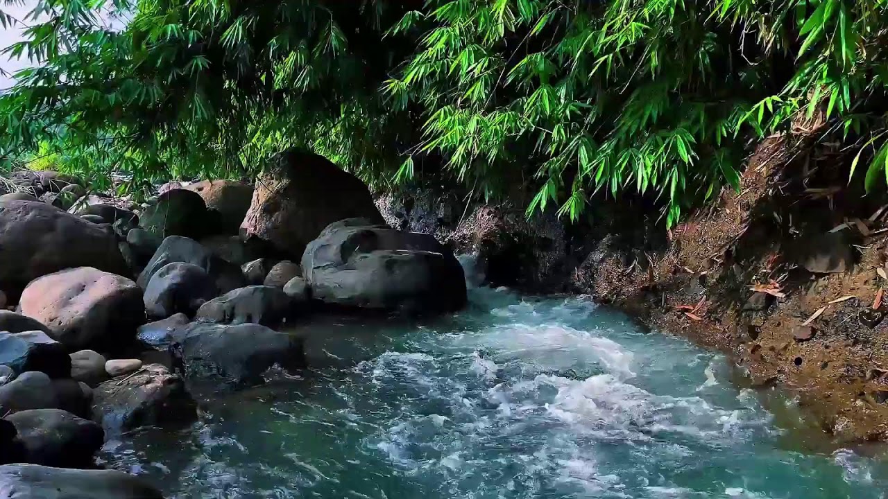 Gentle Stream Around River Stones – Relaxing Water Sounds for Deep Sleep