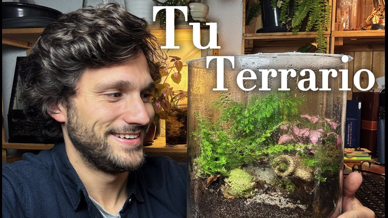 Paso a paso - Cómo Hacer un Terrario