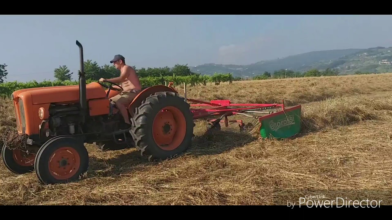 [Fienagione2019] ranghinatura fieno - Fiat 480 dt  - 411 ranghinatore enorossi RR320 evo