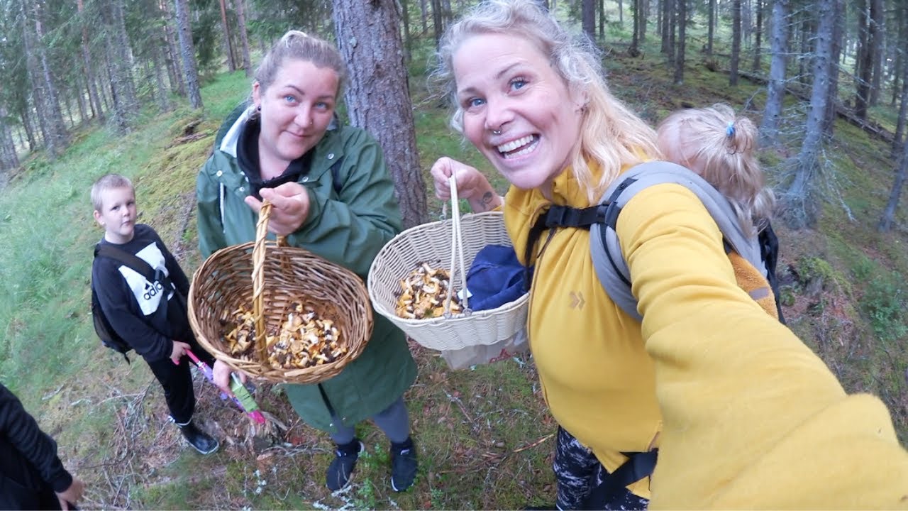 Plockar kantareller och får gammal ångest tillbaka...