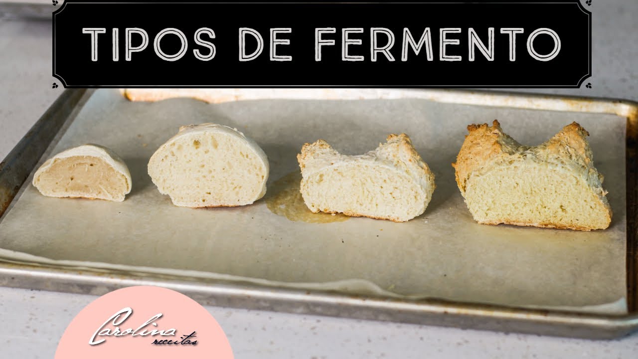 Tipos de Fermento - Receitas Carolina Gomes