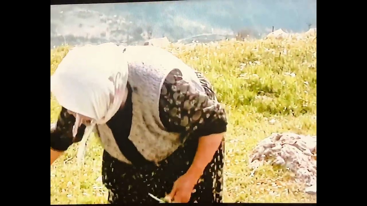 “Payamlı Köyü’nde Bir Gün | 2009–2010’dan Doğaya ve Aileye Dair Bir Hatıra”