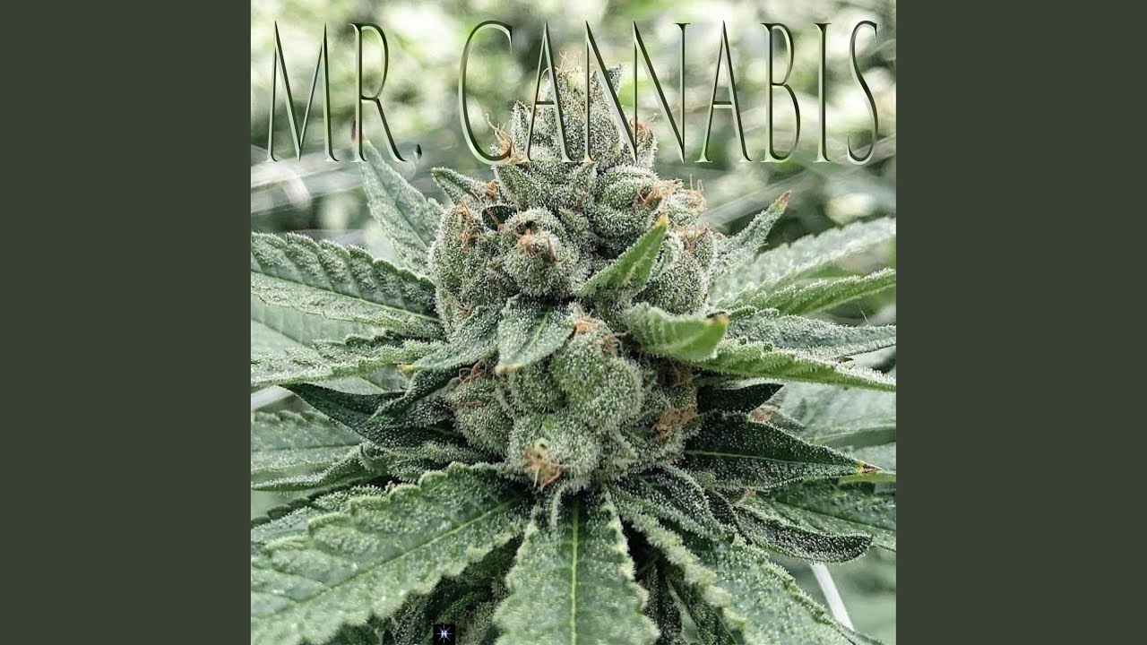 White Tahoe Cookies