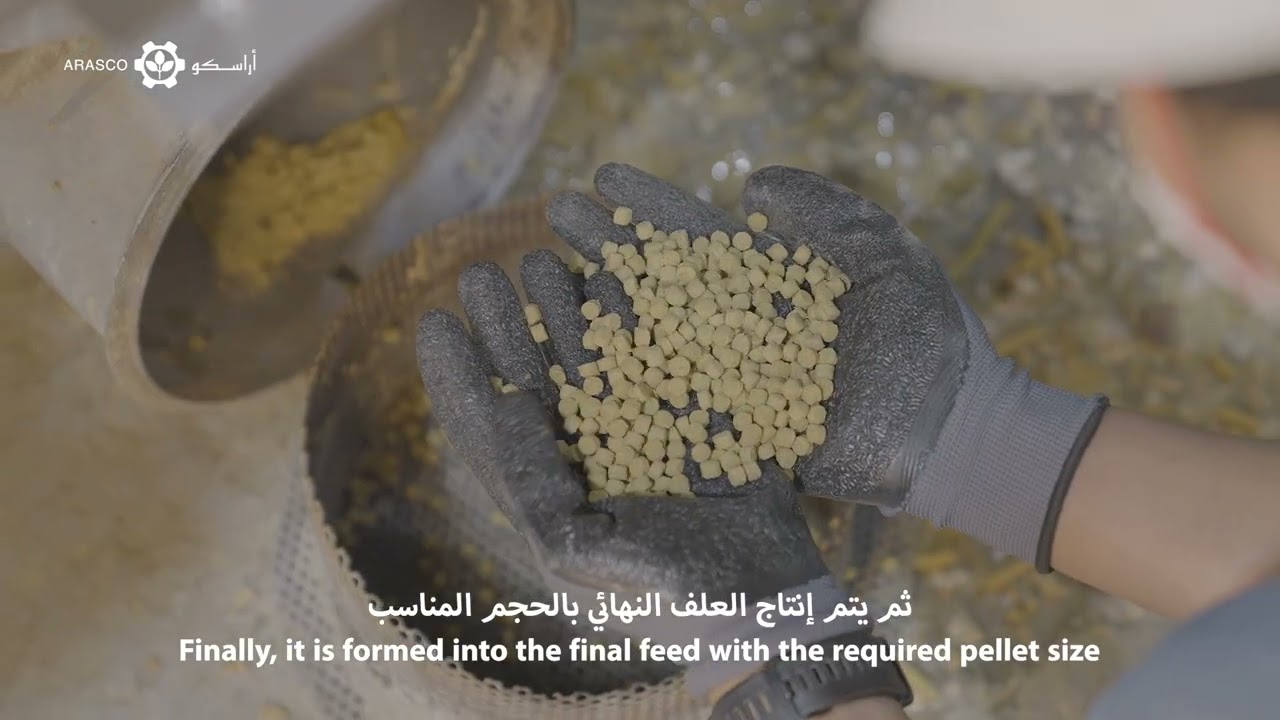 من العلم إلى التقنية قصة نجاح أراسكو في الاستزراع السمكي 