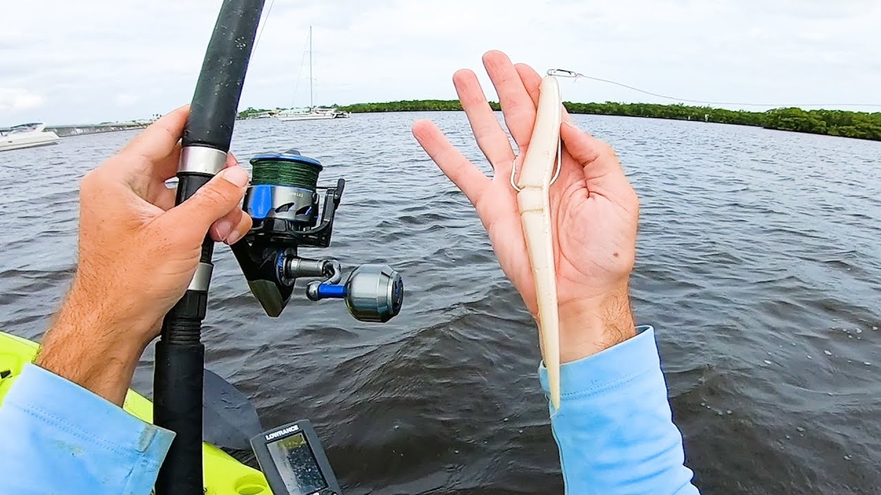 River Fishing New Waters for Snook - Epic Topwater Action!!