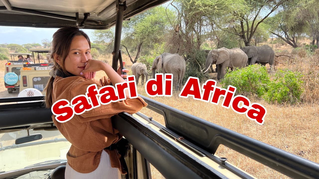 Safari di Tanzania, Afrika Part#1 #safari #tanzania