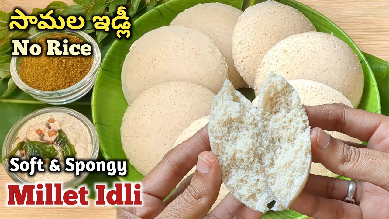 రైస్ లేకుండా సామలతో Soft & Spongy ఇడ్లీ | Little Millet Idli | Samala Idli | Diabetic friendly