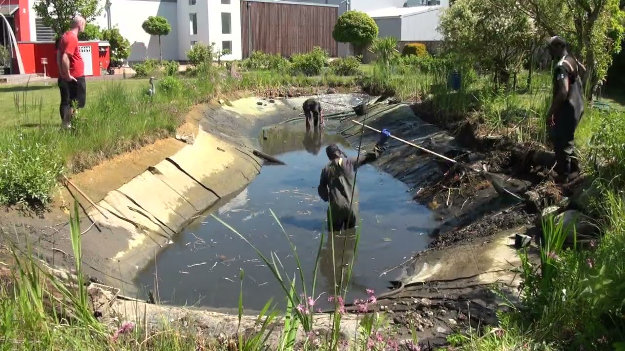 🐟 3 Tage für Klarheit! // 3-Day Koi Pond Cleaning – The Full Transformation in Time-Lapse!