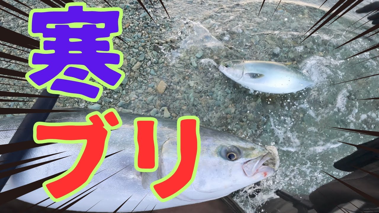【激闘】寒鰤VS最強ルアー。食い渋るときにこそ試してほしいこの作戦…！！
