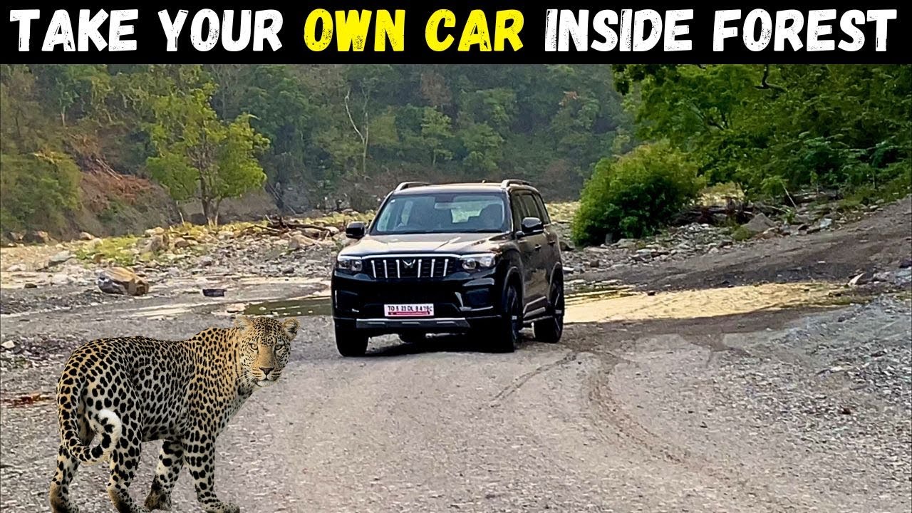 Took my Mahindra Scorpio N inside Rajaji Tiger reserve