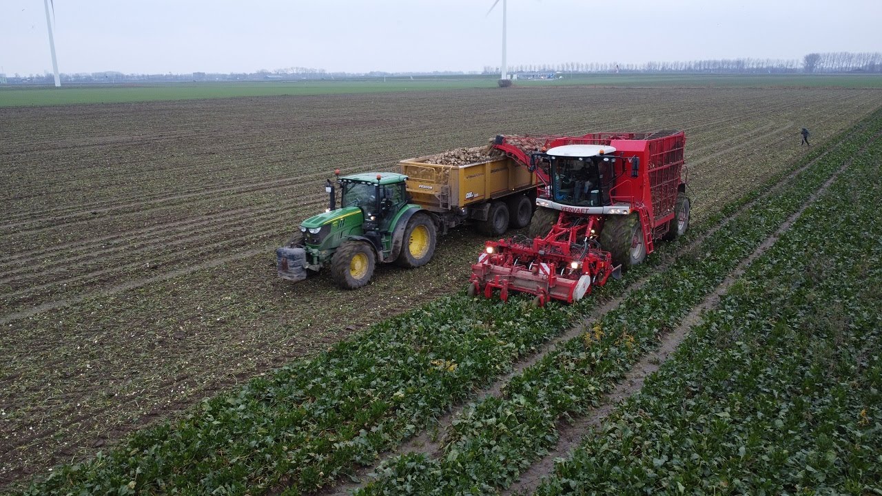 Sugar Beet Harvest | Verveat 617 | John Deere 7530 | Bieten Rooien | Peecon |