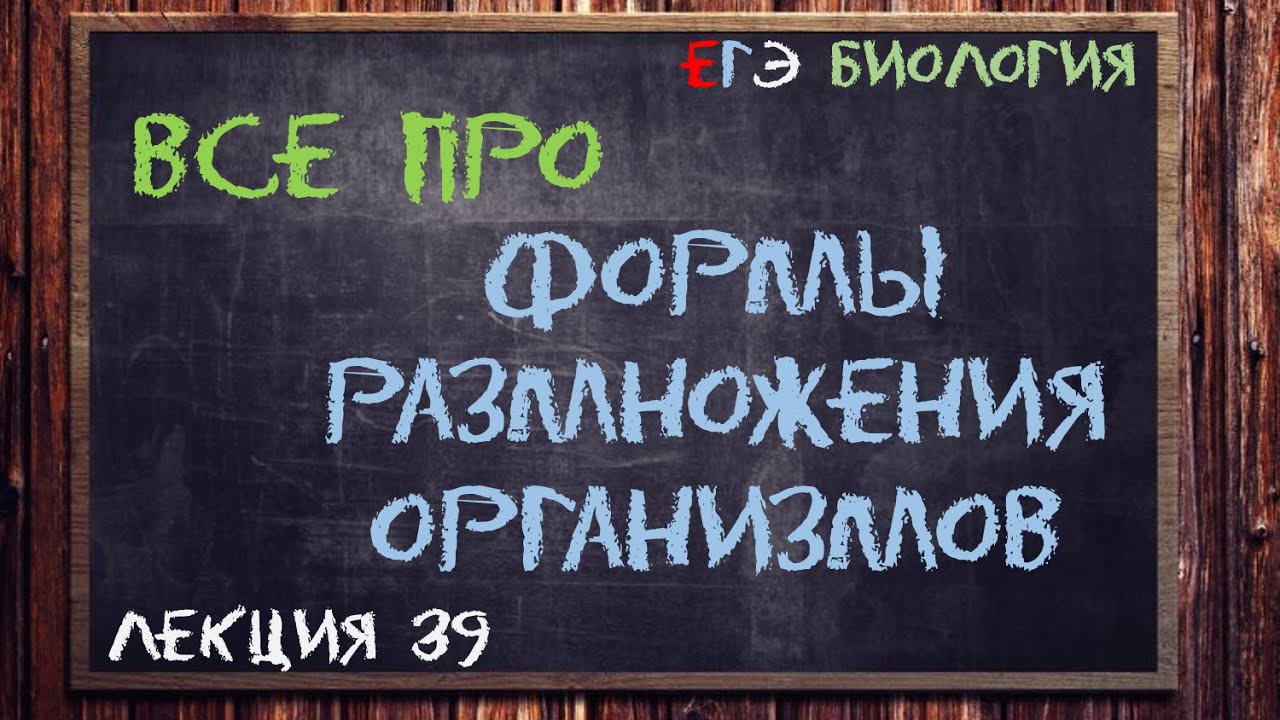 Л.39 | ФОРМЫ РАЗМНОЖЕНИЯ ОРГАНИЗМОВ | ОБЩАЯ БИОЛОГИЯ ЕГЭ