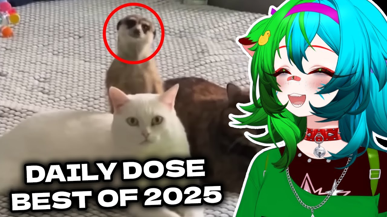 2025 год был странным | Реакция DailyDoseOfInternet