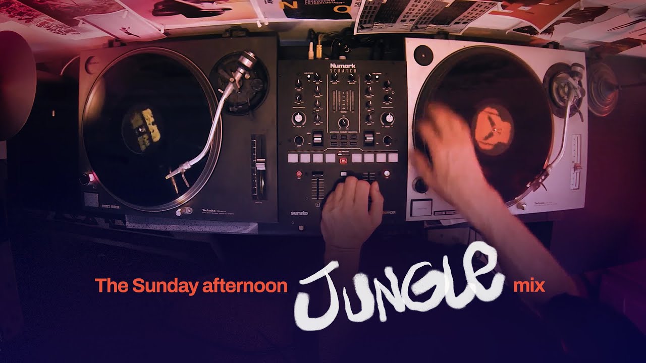 Vitus in the House Vol.8 [1995 Jungle mix]