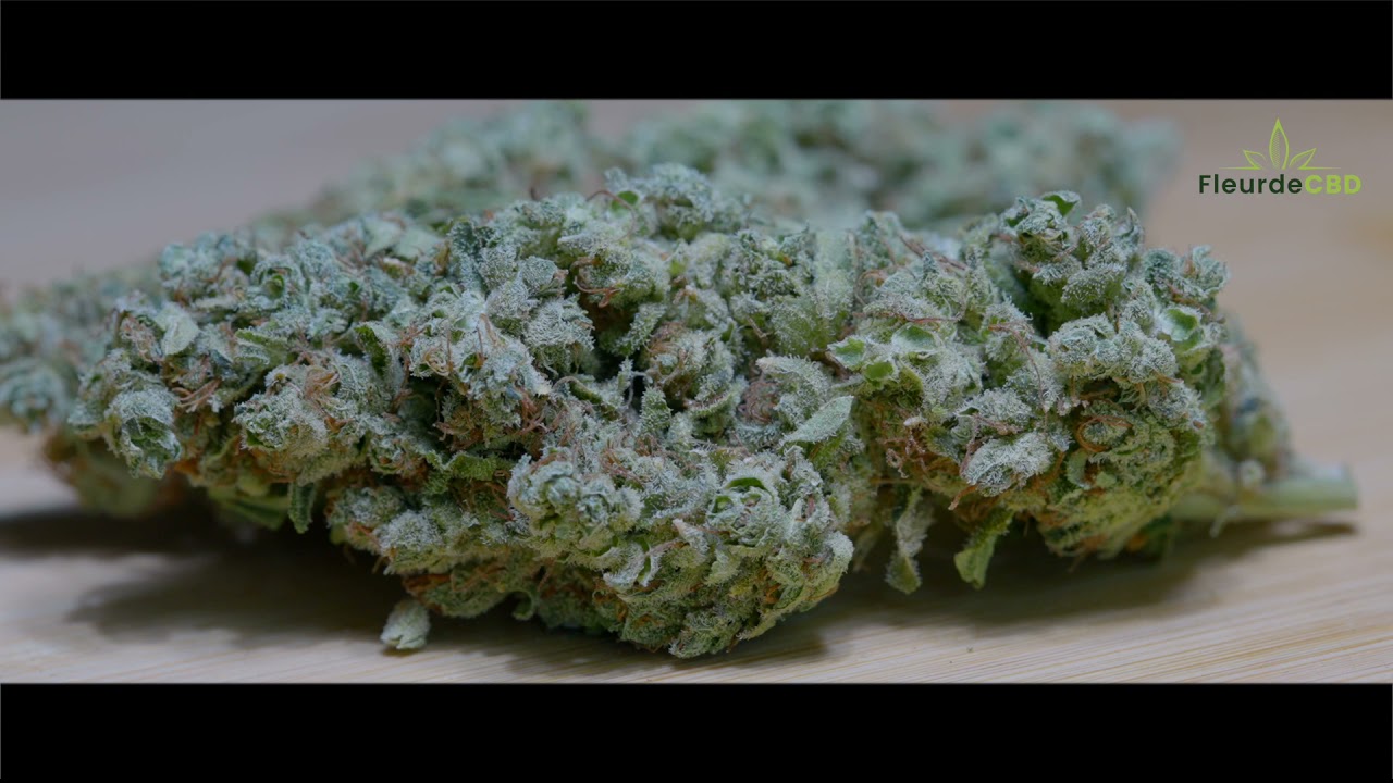 Fleur de cbd aquaponique  pas cher fleurdecbd.com