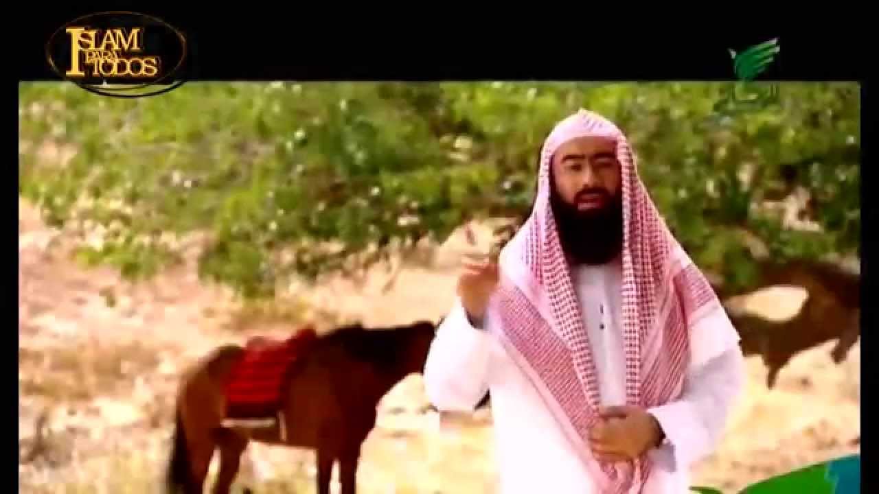 Méritos cap.10