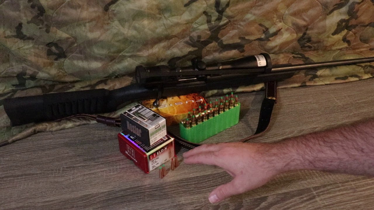 Swarovski Optics Z5 3.5 x 18 BHR review follow up