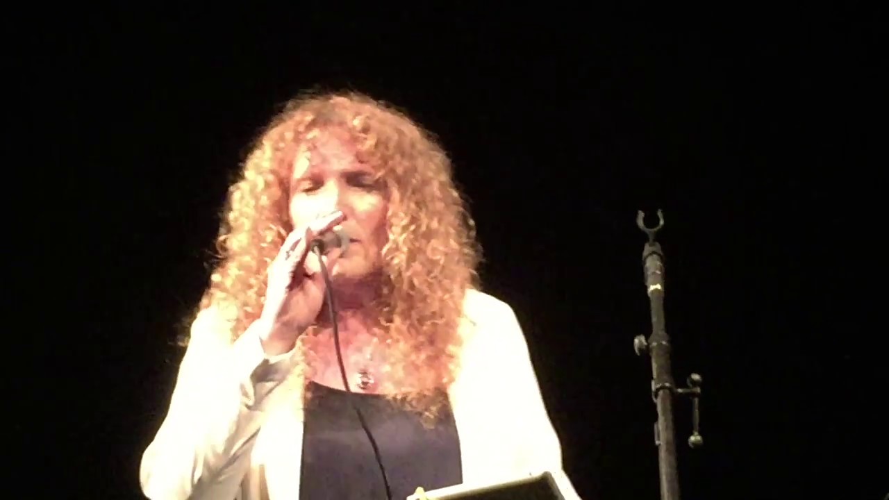 סוס מעץ - נורית גלרון