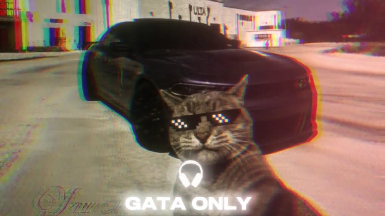 GATA ONLY  (Slowed & Reverb) | This hits different at night 🚬