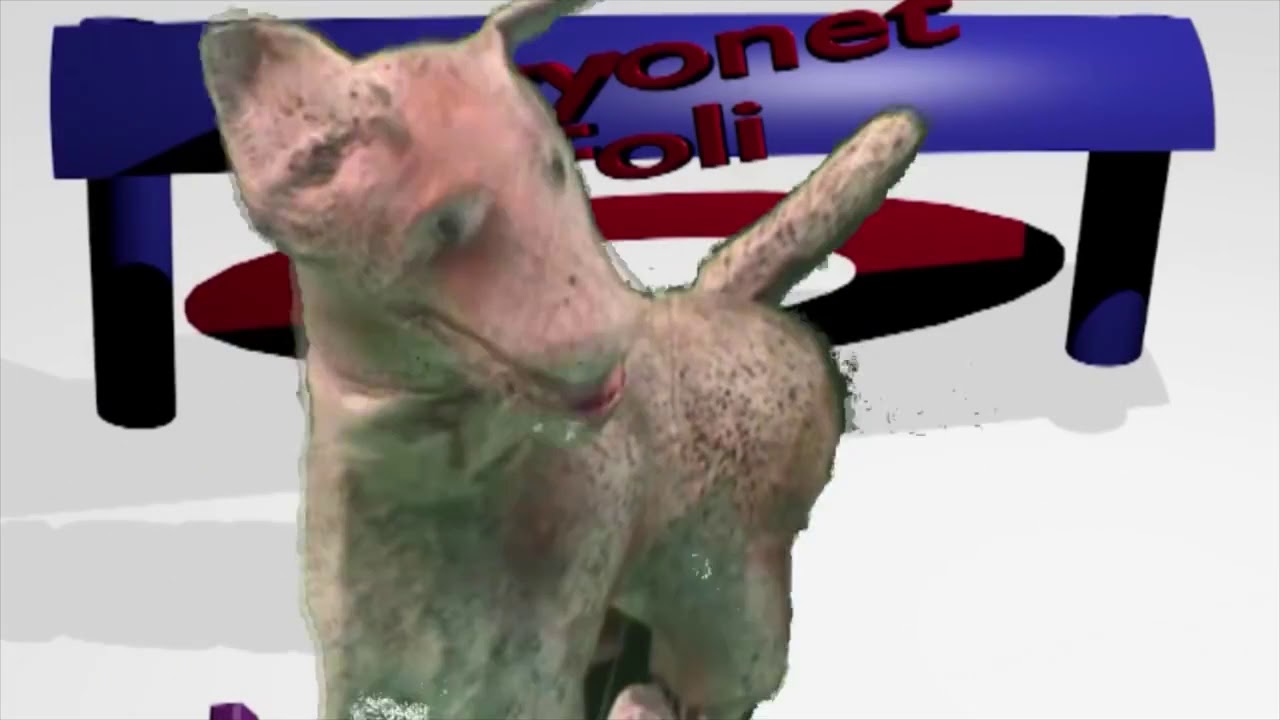 Maryonet Foli