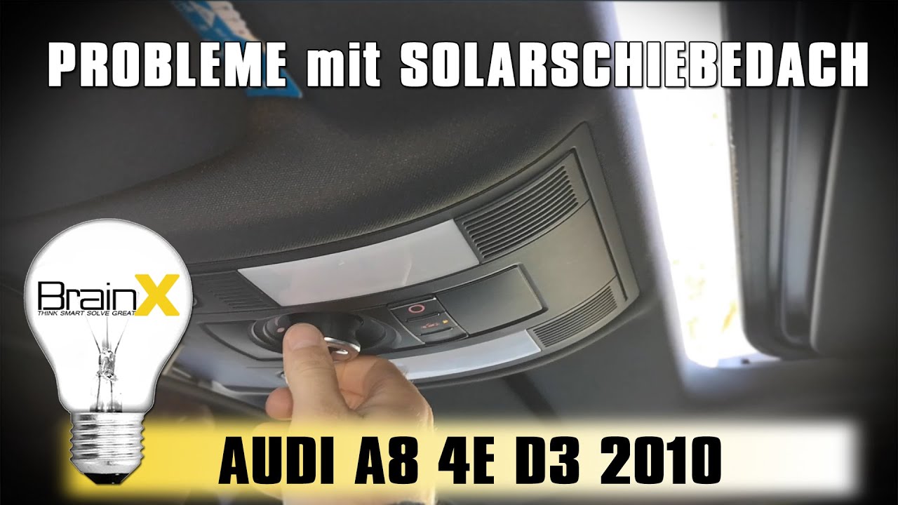 Schiebedach Problem beheben Audi A8 D3 Sunroof noise fix