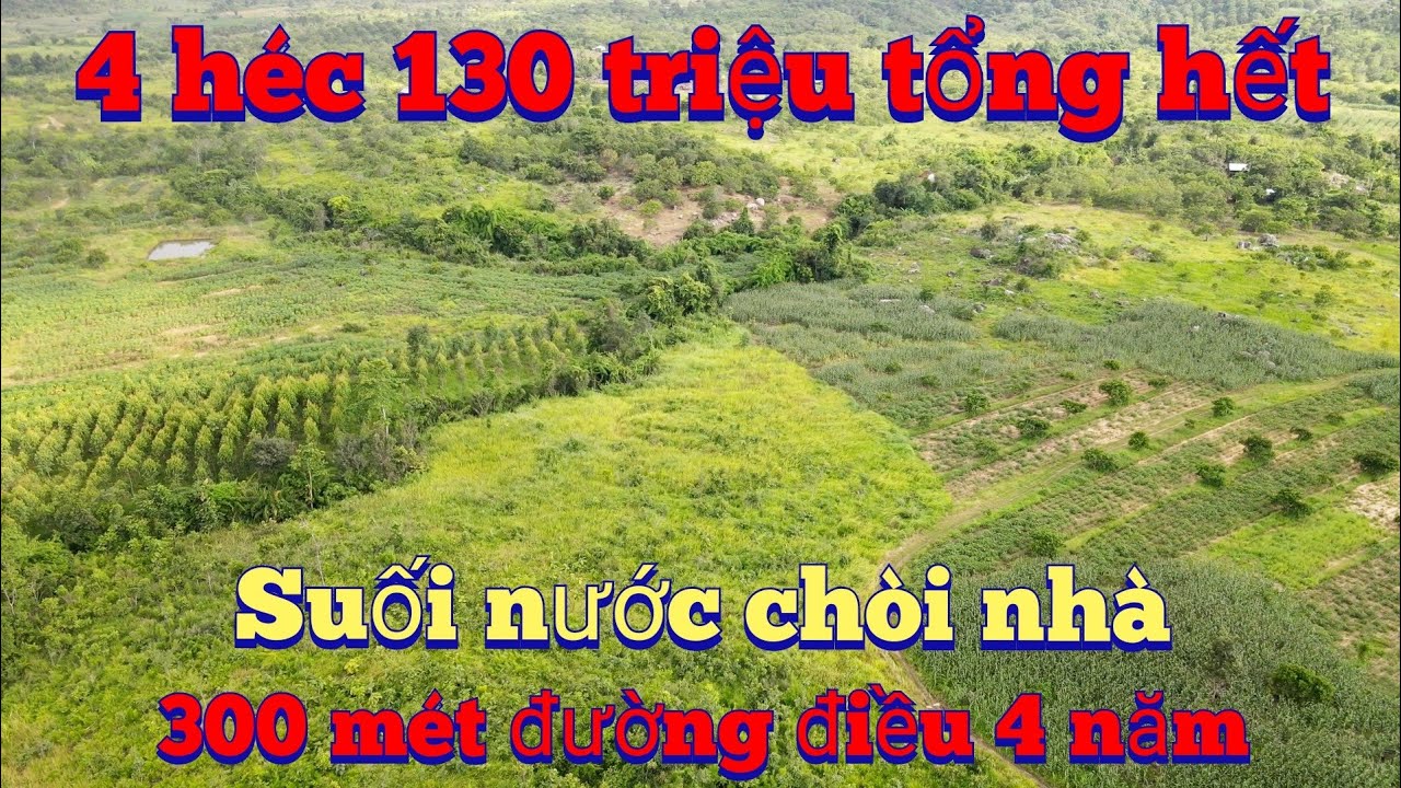 Đã bán 4 héc điều to có chòi múc ao tốt đường ok, lh 0983803253